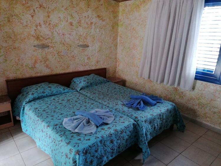 Simos Magic Beach Hotel Apts アヤナパ エクステリア 写真